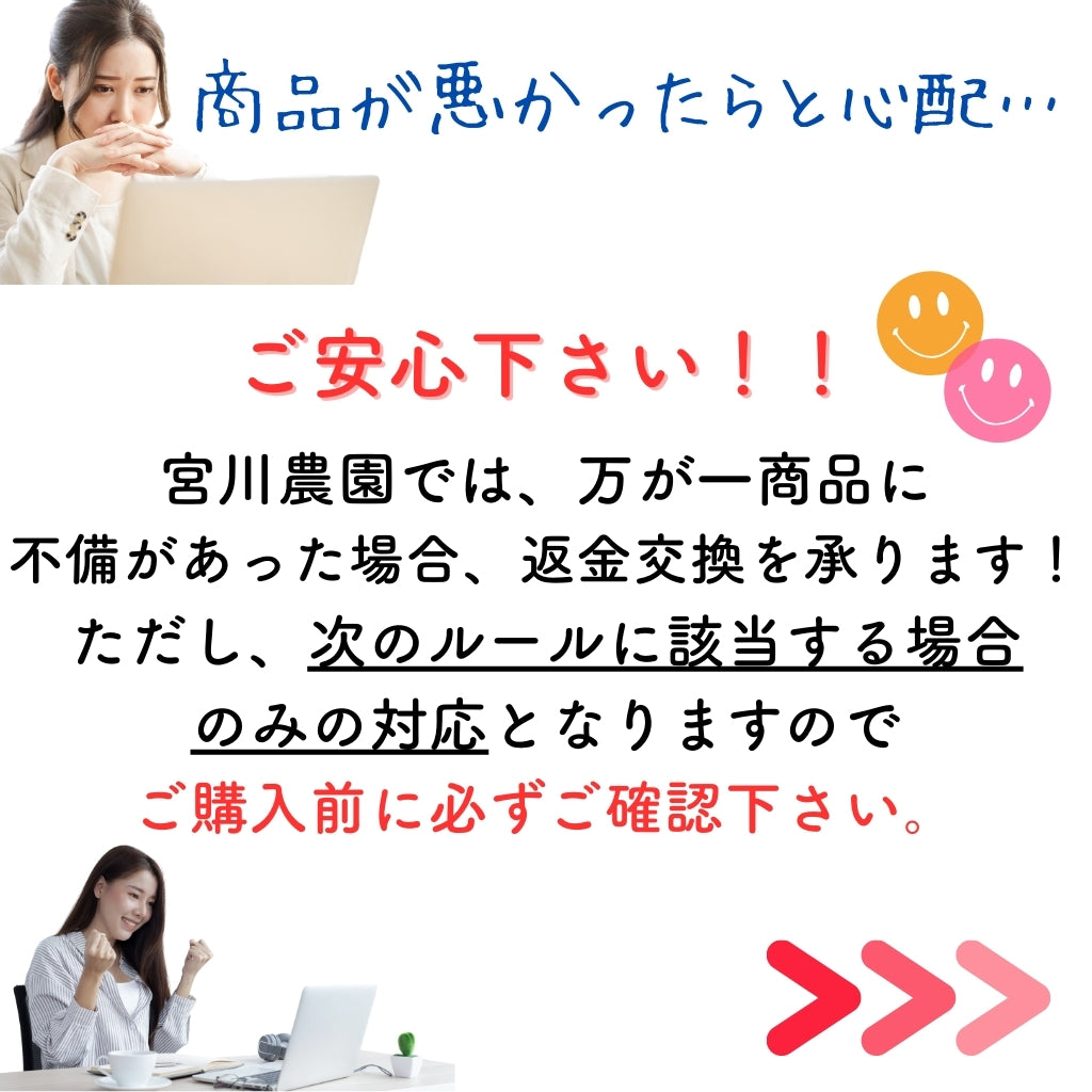 豊とうきびセット 8本セット