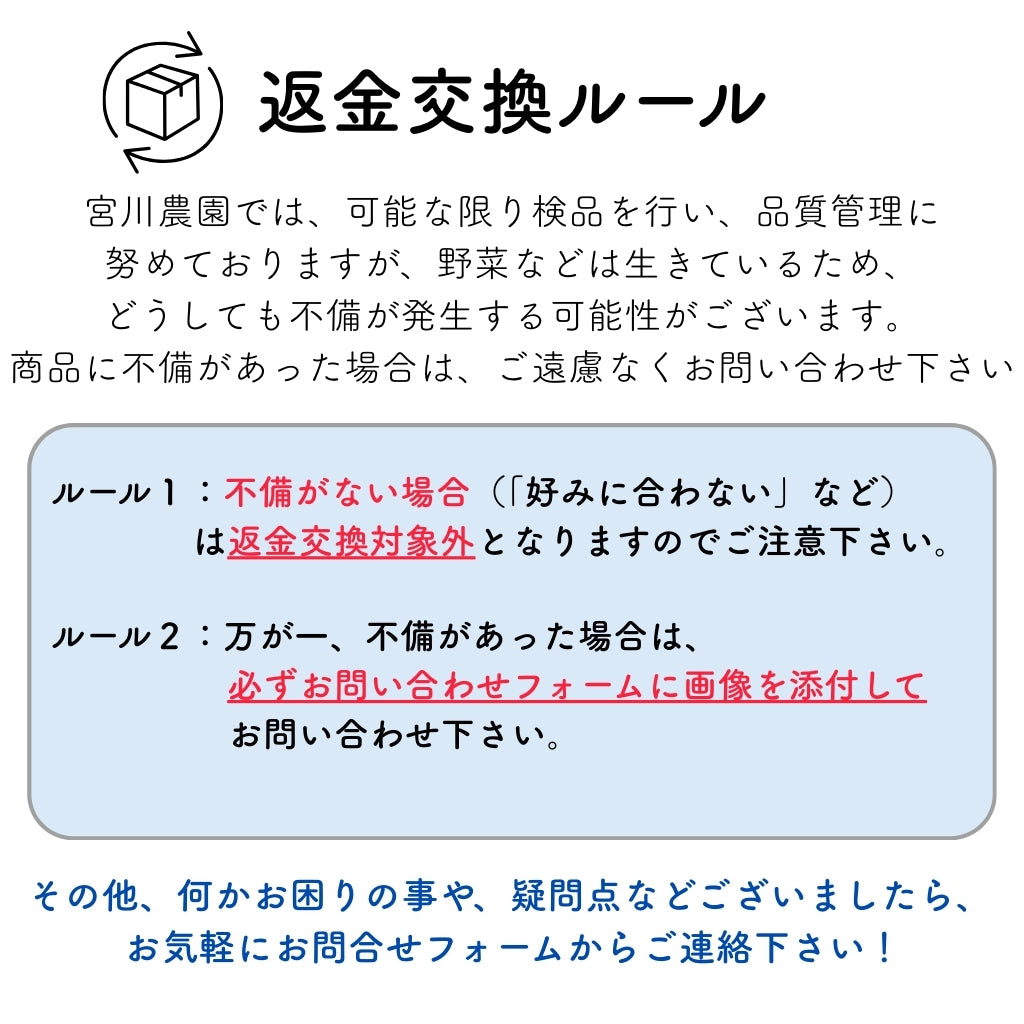 豊とうきびセット 8本セット