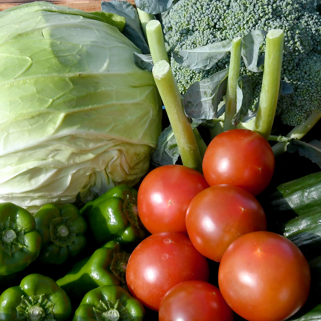 フレッシュな野菜のセット
