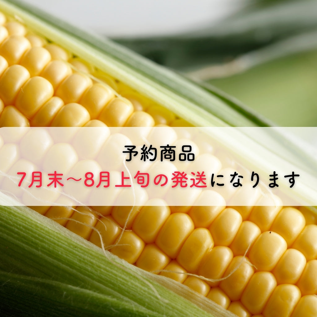 豊とうきびセット 8本セット