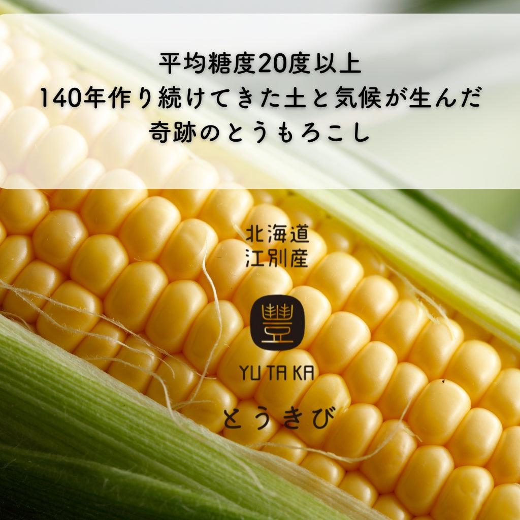 業者様用　とうもろこし20本