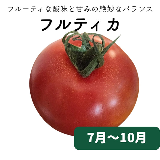 フルティカ