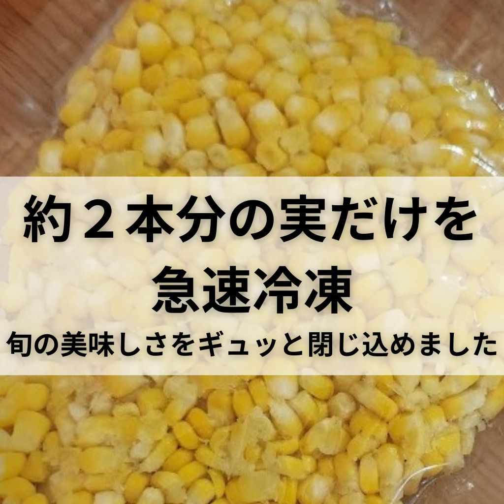 【テスト販売】超特価送料込み　冷凍豊とうきび　2パックセット