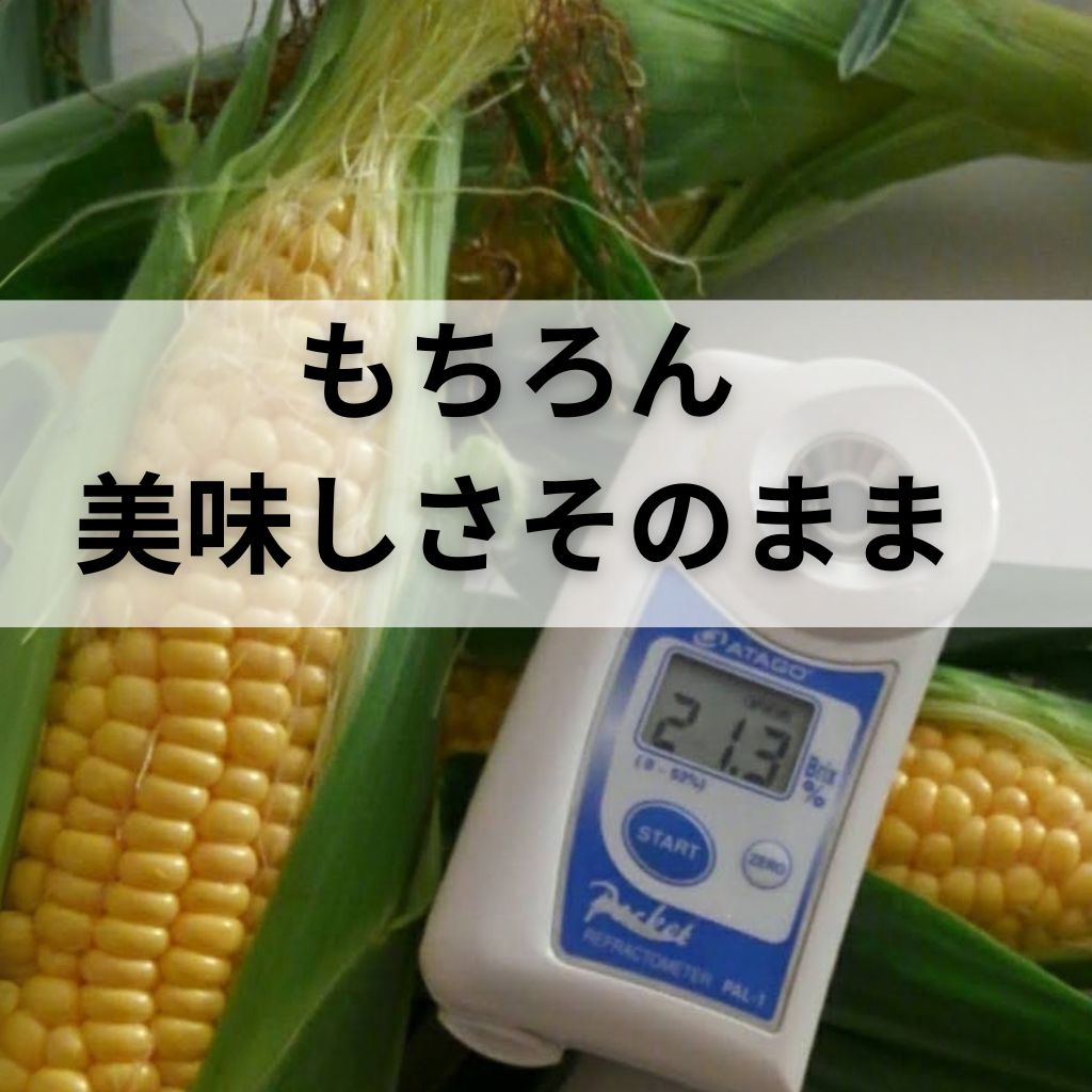 【テスト販売】超特価送料込み　冷凍豊とうきび　2パックセット