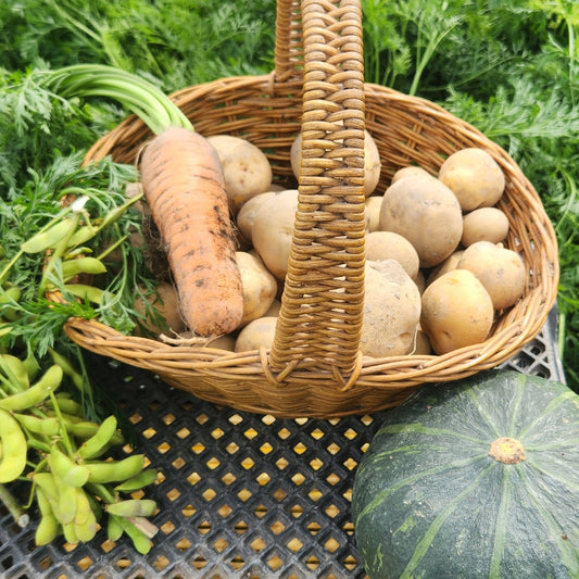 【旬のおまかせたっぷり】秋野菜セット